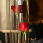 IMG_9942