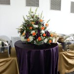 Joy-of-flowers-064