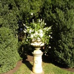 Joy-of-flowers-071