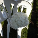 Joy-of-flowers-074
